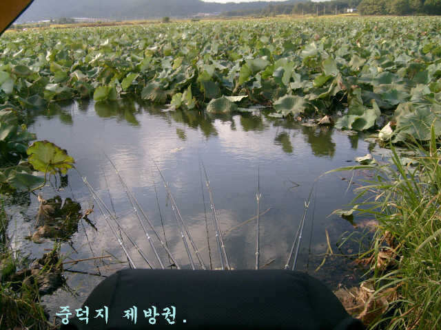 10071002 097_pro_johwang09142873.jpg