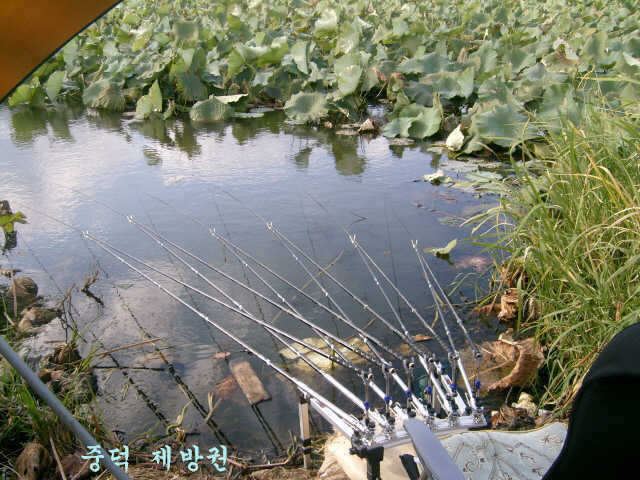 10071002 098_pro_johwang09145494.jpg