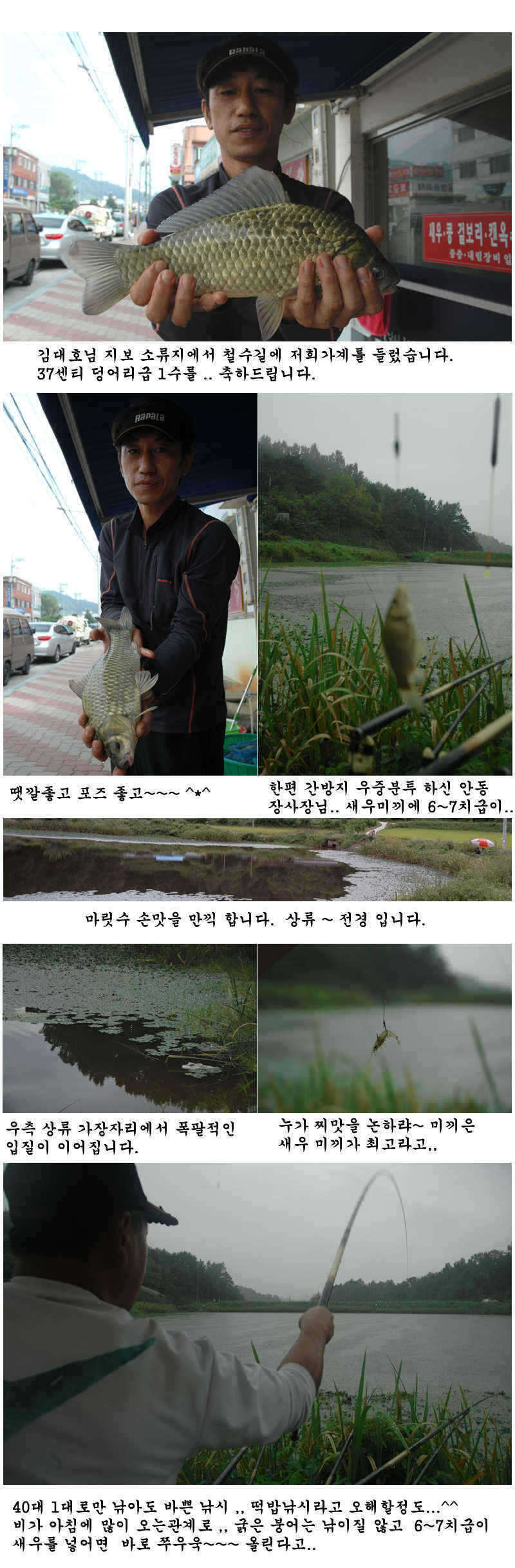 aksdns wjtmwl3_pro_johwang08114314.jpg