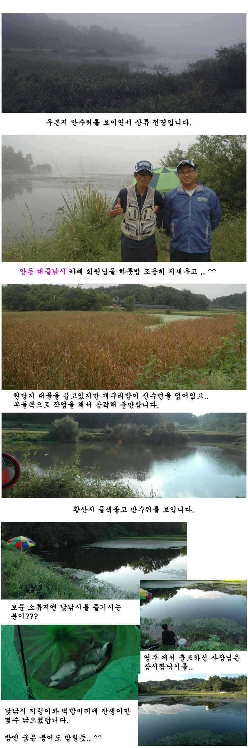 aksdns wjtmwl5_pro_johwang08135130.jpg