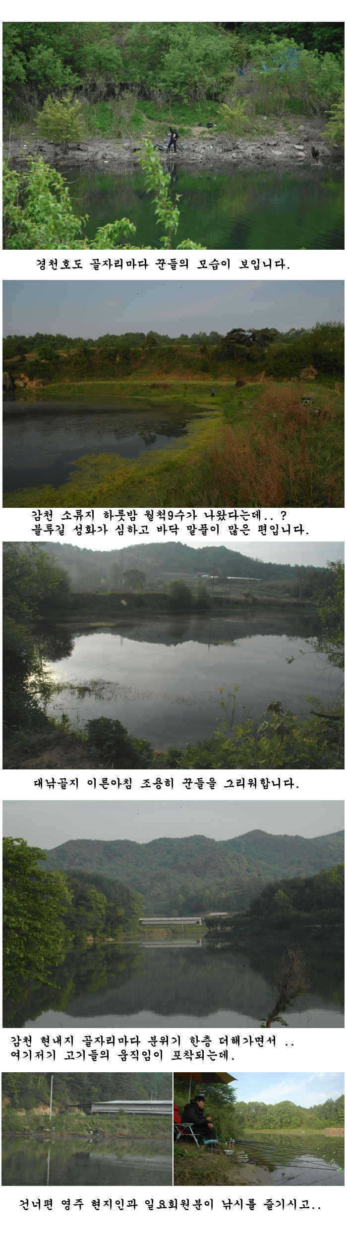 dlqjswn ghkqh5_pro_johwang11190543.jpg