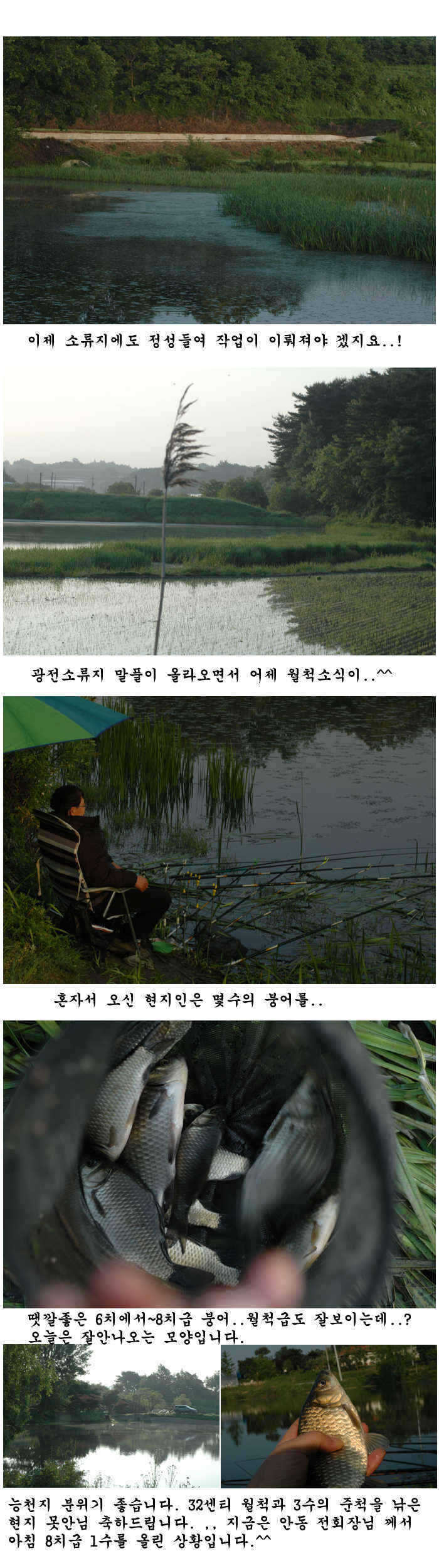 gdsfdhfwnrdkswl 3_pro_johwang11200495.jp