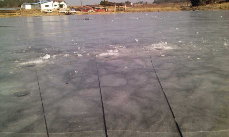2011-02-01 14_sole04311668.jpg
